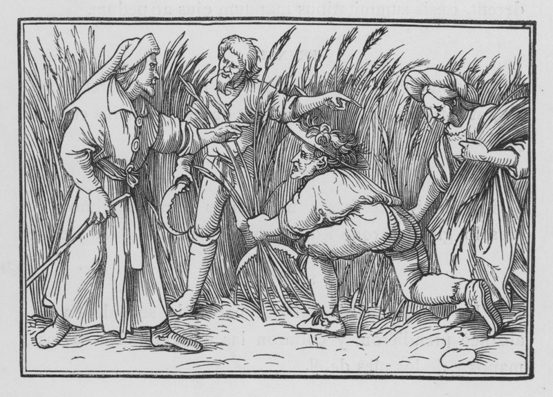 Rut espiga en los campos de Booz, Rut II, 5 de Hans after Holbein the Younger