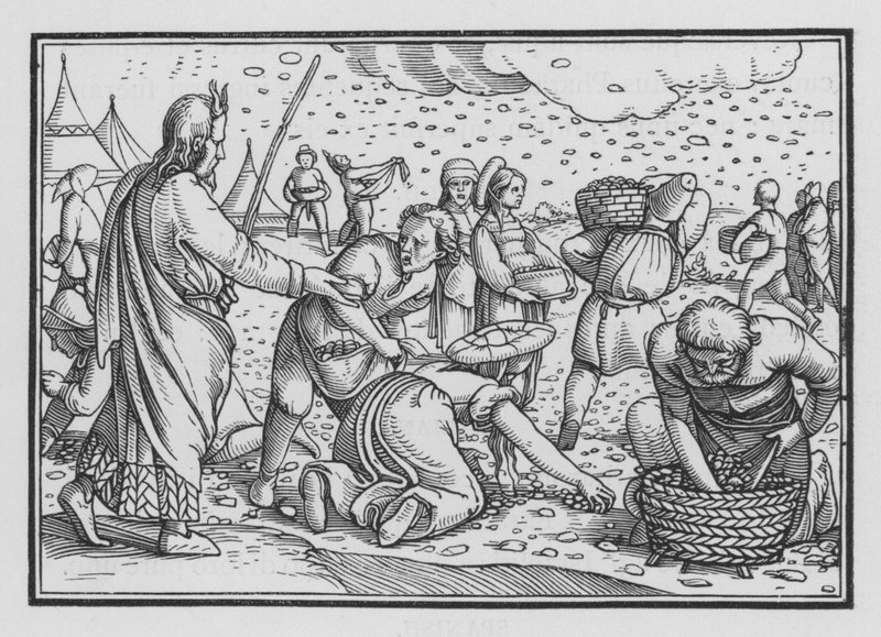 Los israelitas murmuran por falta de pan, Éxodo XVI, 4 de Hans after Holbein the Younger