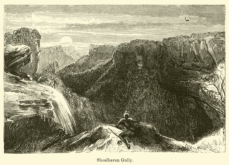 Shoalhaven Gully de Harden Sidney Melville
