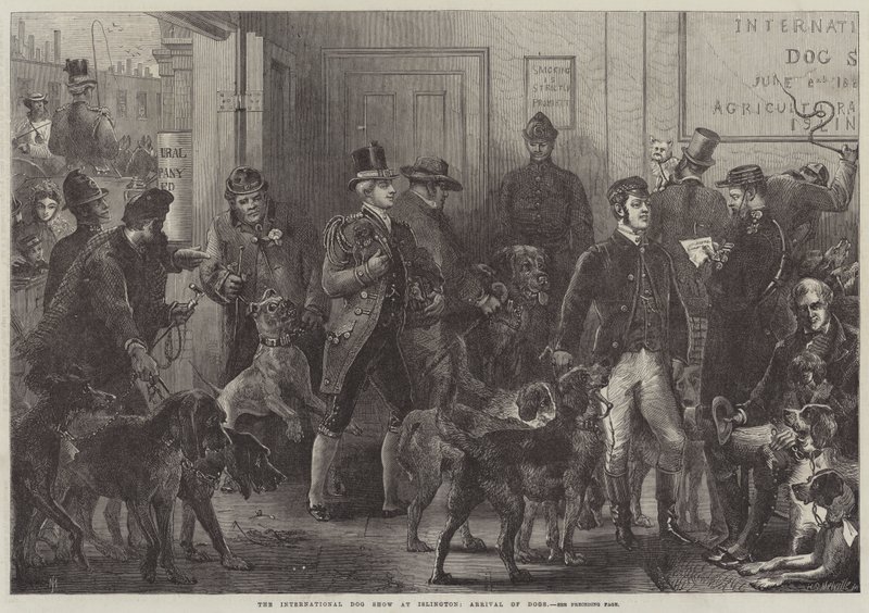 La Exposición Internacional Canina en Islington, llegada de perros de Harden Sidney Melville