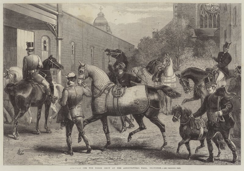 Llegadas para el Show de Caballos en el Agricultural Hall, Islington de Harden Sidney Melville