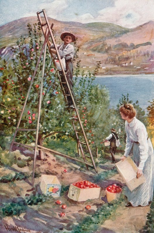 Un rancho de frutas en Nelson, Columbia Británica de Harold Copping