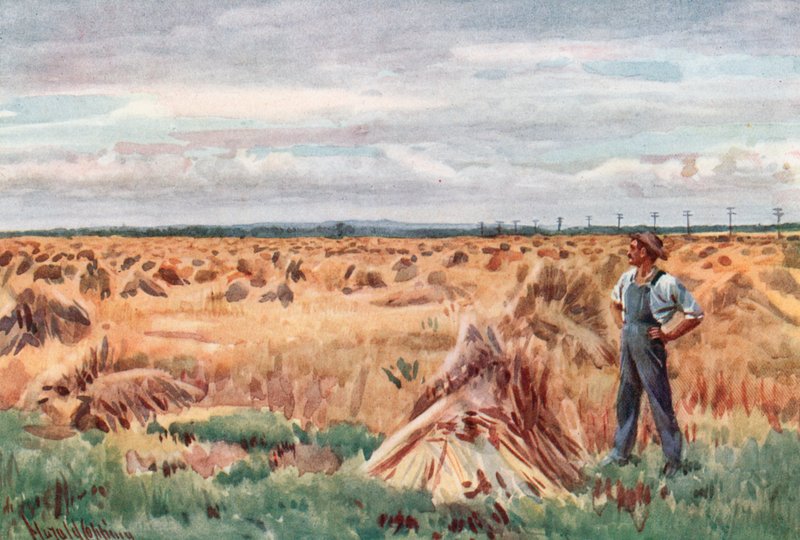 A lo largo de los Campos de Trigo de Manitoba de Harold Copping