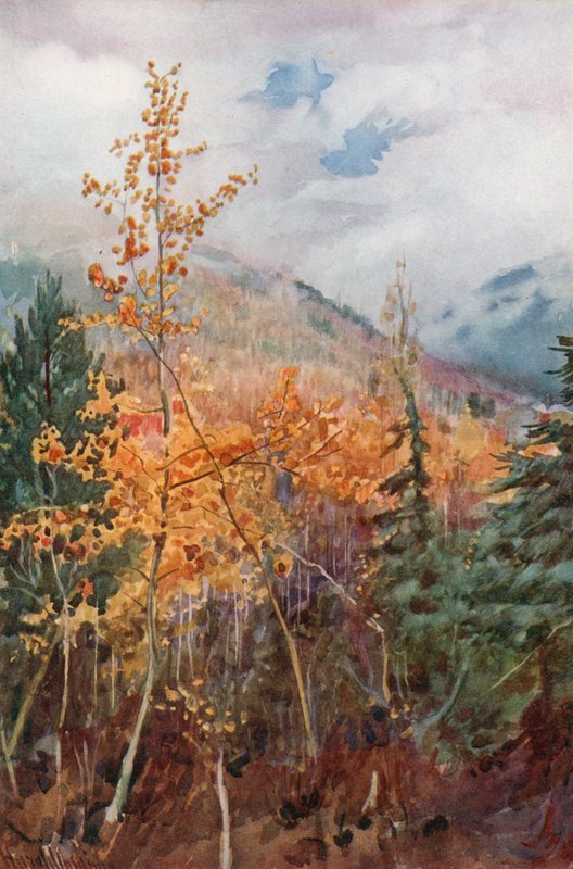 En una ladera de montaña cerca de Nelson, Columbia Británica de Harold Copping