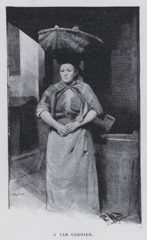 Un portador de tanino de Harold Hume Piffard