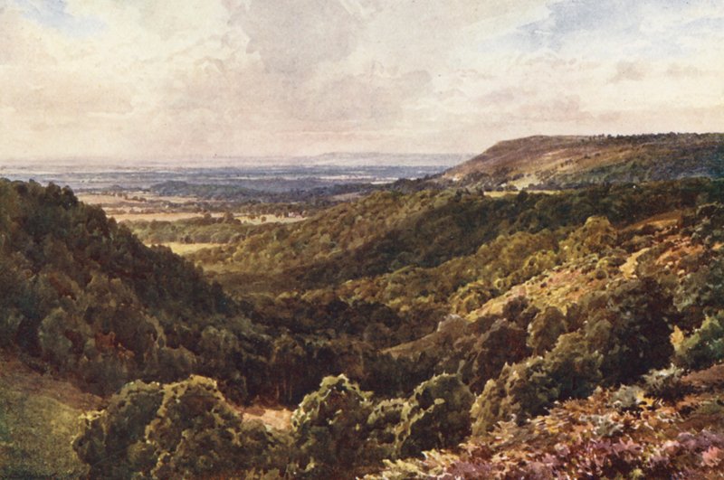 Desde las colinas de Peaslake, cerca de Gomshall (litografía en color) de Harold Sutton Palmer