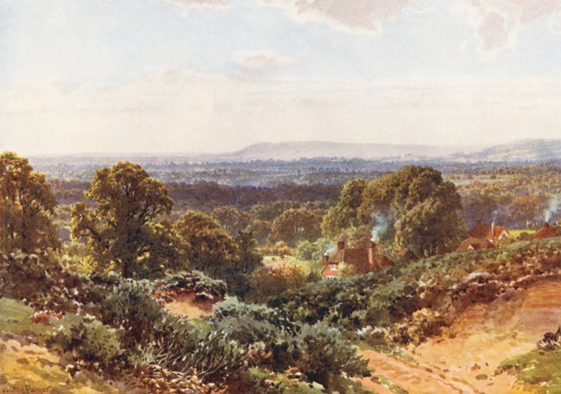 Sandhills, mirando hacia Blackdown (litografía en color) de Harold Sutton Palmer