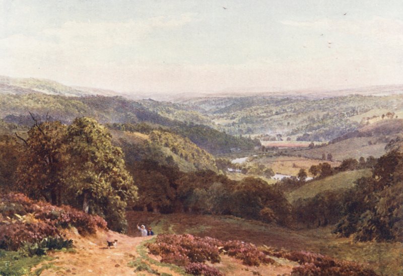 Valle de Albury, desde St Martha