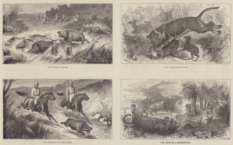 India y el Príncipe de Gales de Harrington Bird
