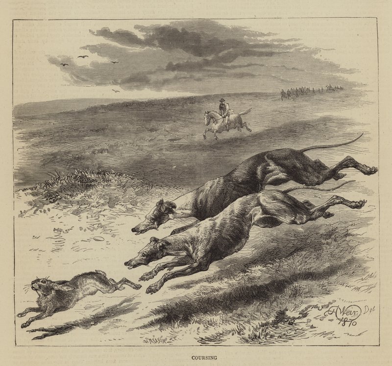 Caza con galgos de Harrison William Weir
