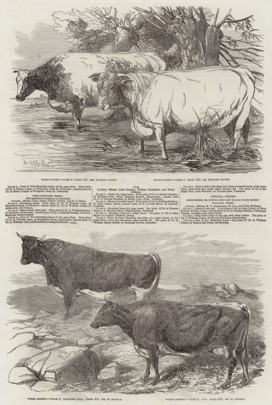 Exposición de la Real Sociedad Agrícola de Inglaterra de Harrison William Weir
