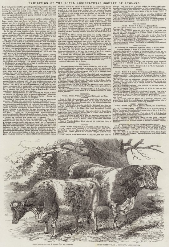 Exposición de la Real Sociedad Agrícola de Inglaterra de Harrison William Weir