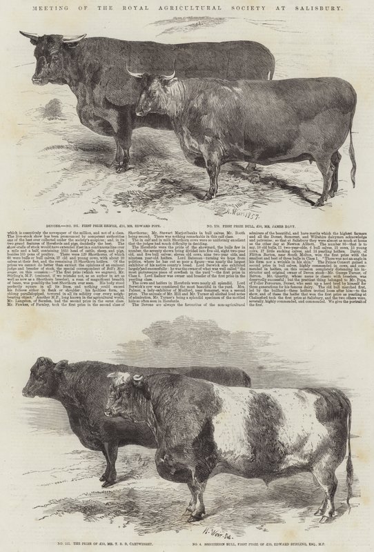 Reunión de la Sociedad Real de Agricultura en Salisbury de Harrison William Weir