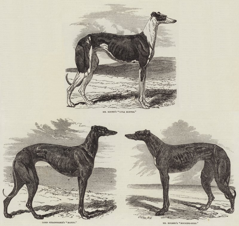 Reunión de carreras en Newmarket de Harrison William Weir