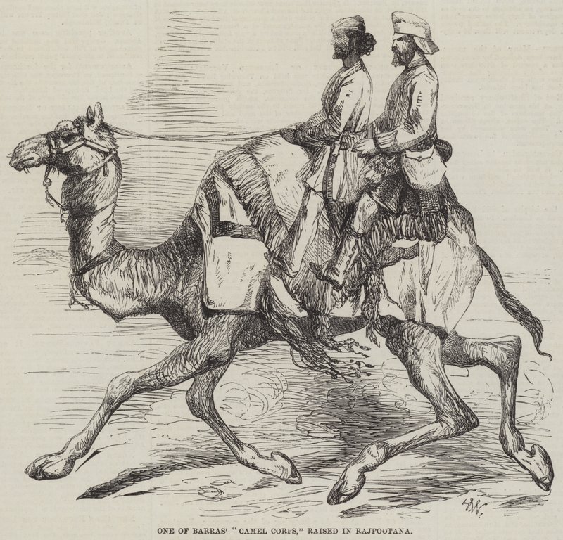 Uno del Cuerpo de Camellos de Barras, levantado en Rajpootana de Harrison William Weir