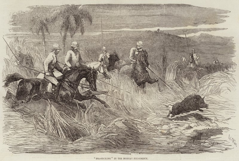 Caza de Jabalíes en la Presidencia de Bombay de Harrison William Weir