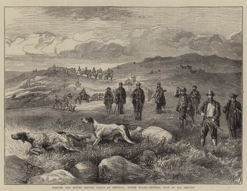Pruebas de puntero y setter en Rhiwlas, Gales del Norte, vista general del terreno de Harrison William Weir