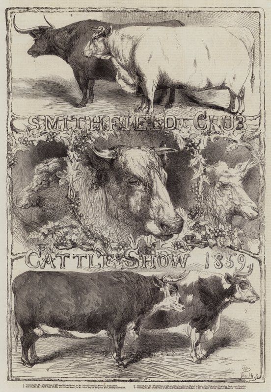 Exposición de ganado del Club Smithfield, 1859 de Harrison William Weir