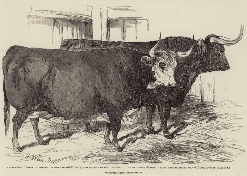 Exposición de Ganado del Club Smithfield de Harrison William Weir