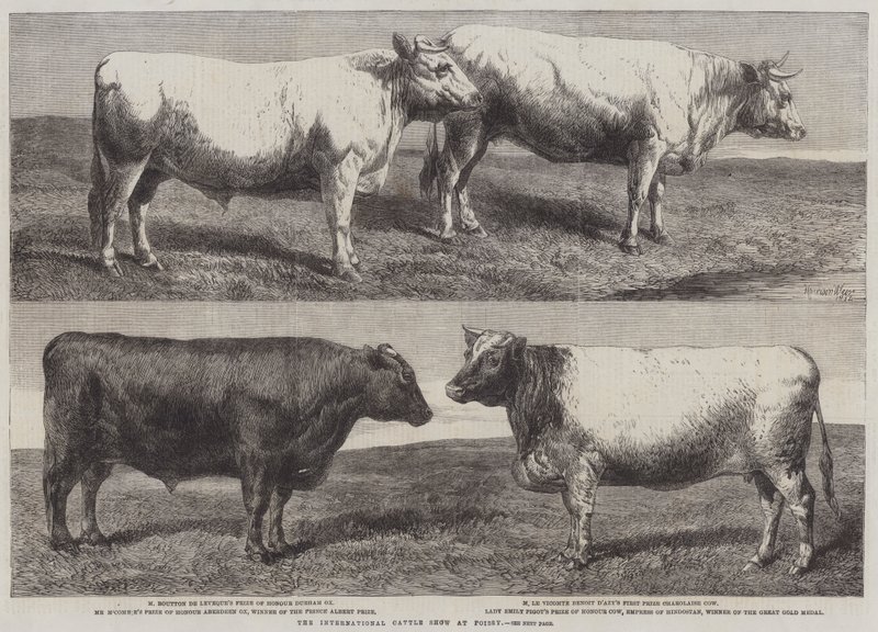 La Exposición Internacional de Ganado en Poissy de Harrison William Weir