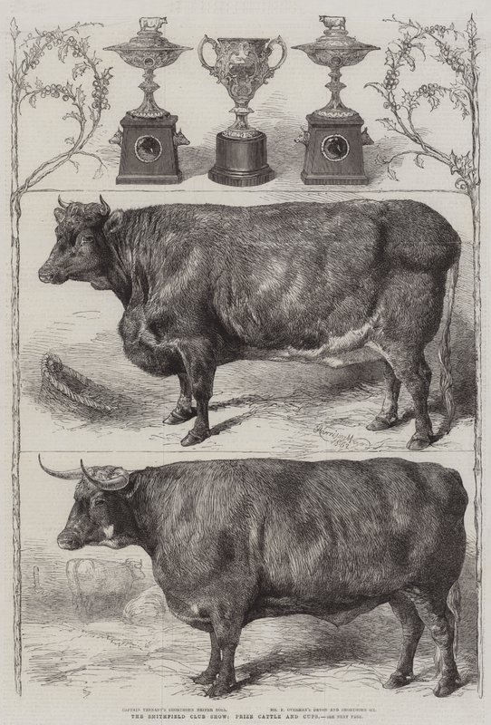 Exposición de ganado del Club Smithfield, ganado premiado y copas de Harrison William Weir