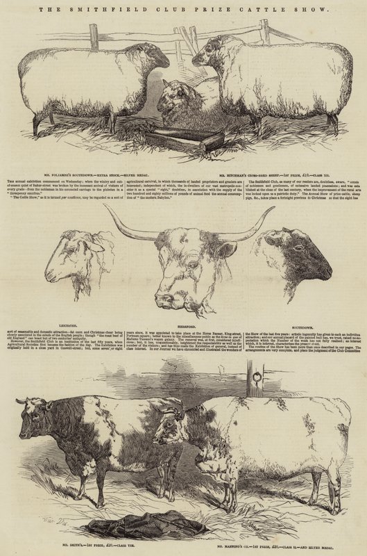 Exposición de Ganado Premiado del Club Smithfield de Harrison William Weir