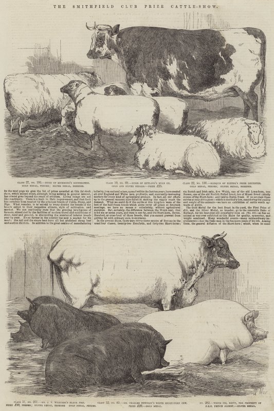 La Exposición de Ganado del Club Smithfield de Harrison William Weir