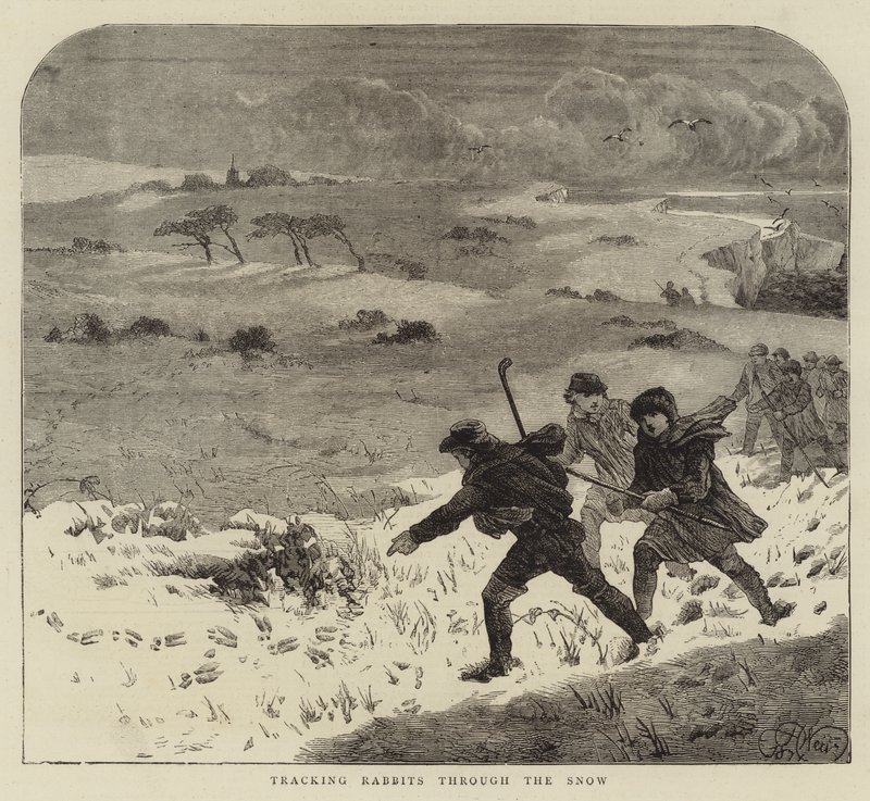 Rastreando Conejos a través de la Nieve de Harrison William Weir