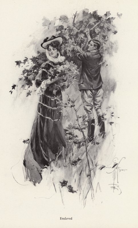 Mujer recogiendo flores con un admirador de Harrison Fisher
