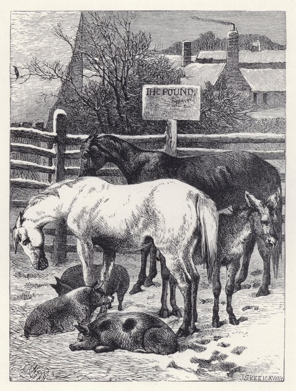 Animales en el Redil de Harrison William Weir