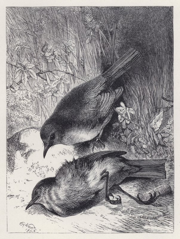 Muerte de la pareja de Robin de Harrison William Weir