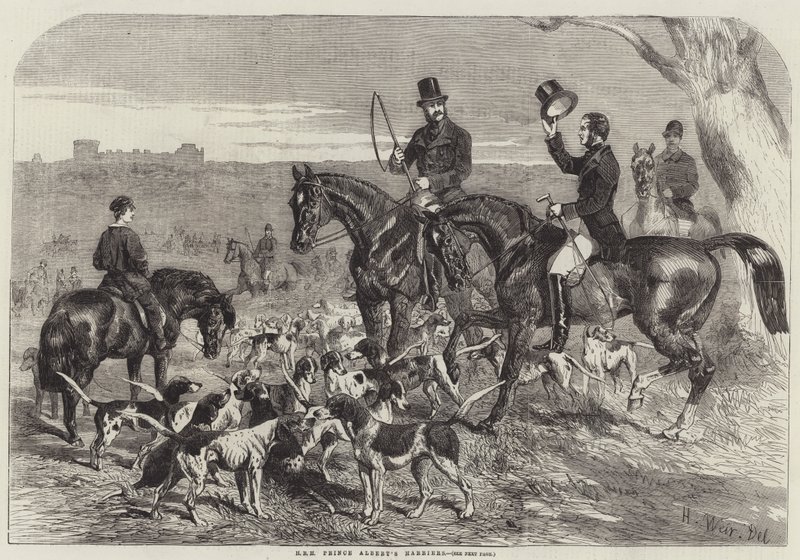 Los sabuesos del Príncipe Alberto de Harrison William Weir