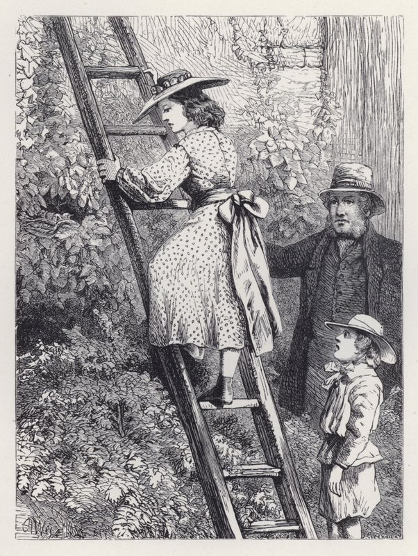 Harriet Espía el Nido de los Petirrojos de Harrison William Weir