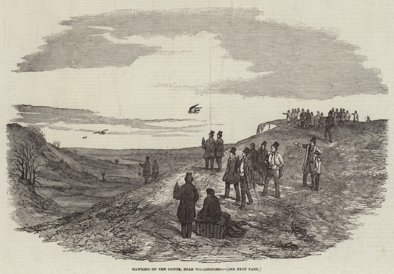 Cetrería en los Downs, cerca de Wallingford de Harrison William Weir