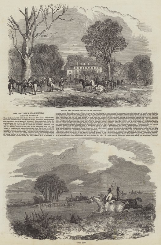 Los perros de caza de Su Majestad en Hillingdon de Harrison William Weir