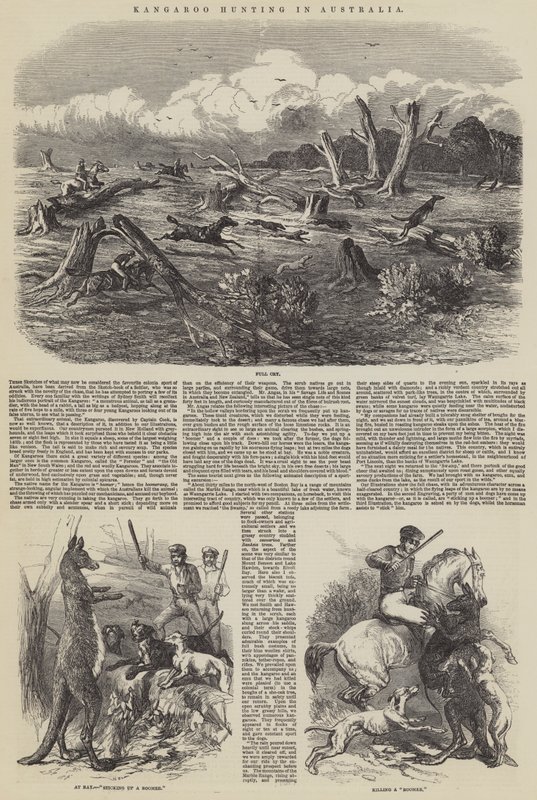 Caza de Canguros en Australia de Harrison William Weir