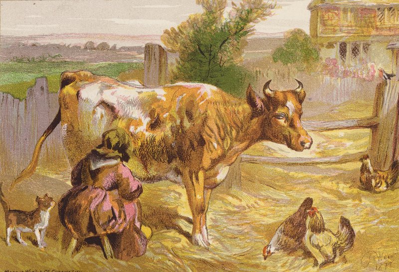 La vieja Nancy ordeñando la vaca (litografía en color) de Harrison William Weir