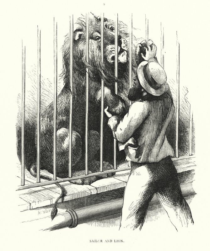Marinero y león de Harrison William Weir
