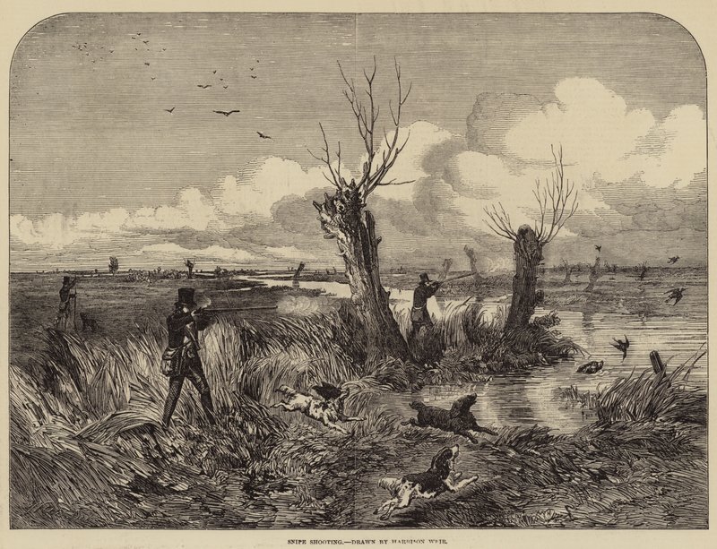 Caza de agachadizas de Harrison William Weir