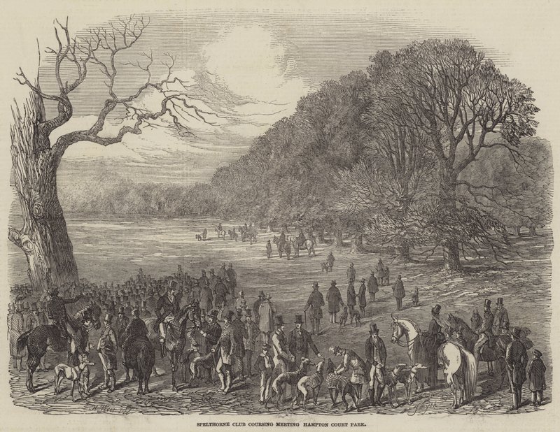 Reunión de caza del Club Spelthorne, Parque de Hampton Court de Harrison William Weir