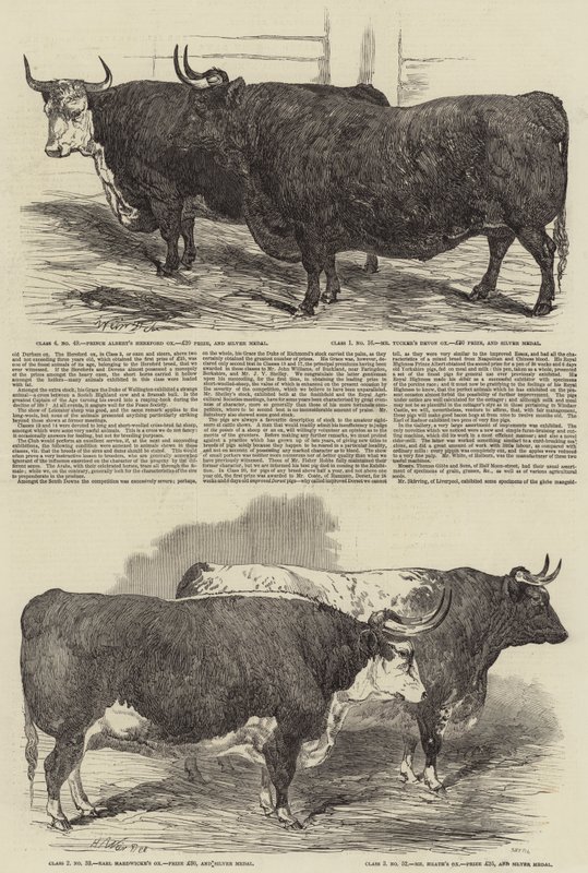 La exposición anual del Club Smithfield de Harrison William Weir