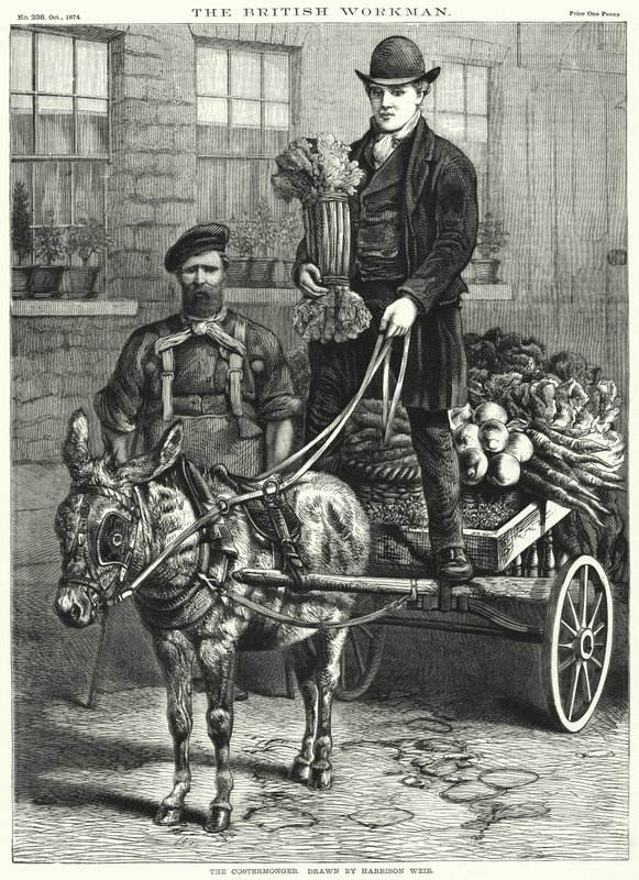 El vendedor ambulante de Harrison William Weir