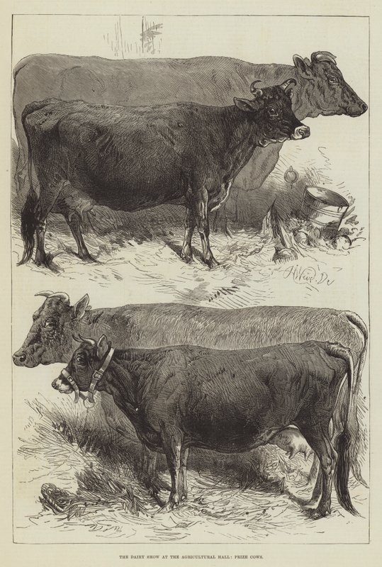 La Feria de Productos Lácteos en el Salón Agrícola, Vacas Premiadas de Harrison William Weir