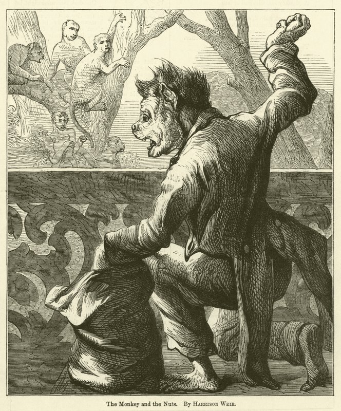 El Mono y las Nueces de Harrison William Weir