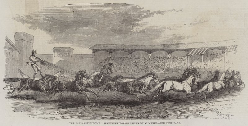El hipódromo de París, diecisiete caballos conducidos por M. Martin de Harrison William Weir
