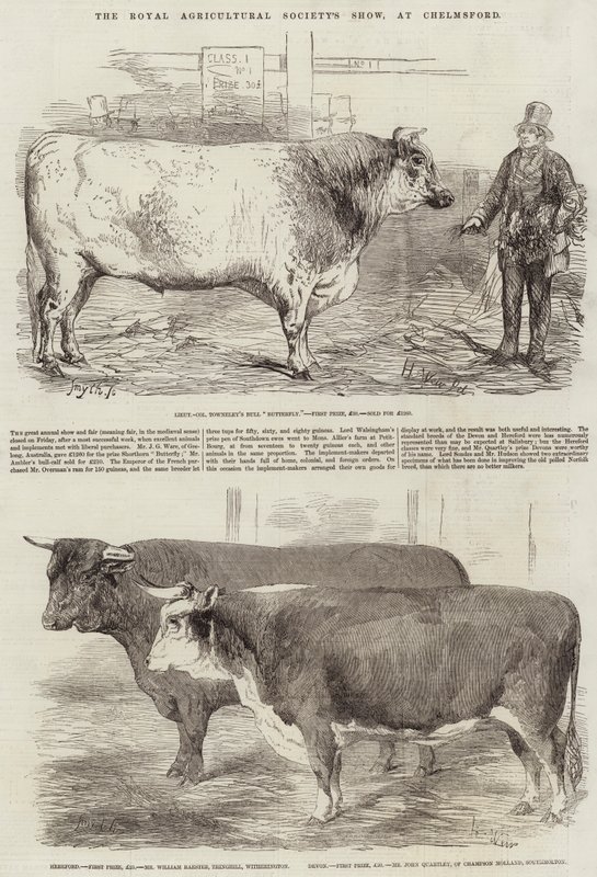 Exposición de la Real Sociedad Agrícola, en Chelmsford de Harrison William Weir