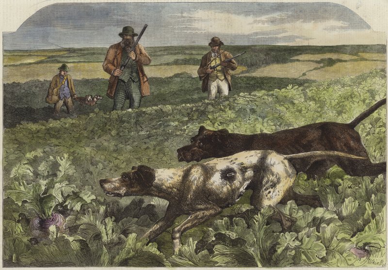 El primero de septiembre de Harrison William Weir