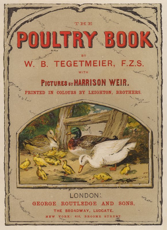 Ilustración de la portada para The Poultry Book de W B Tegetmeier de Harrison William Weir