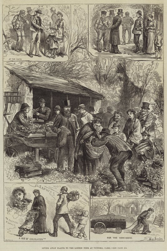 Repartiendo plantas a los pobres de Londres en Victoria Park de Harry Furniss