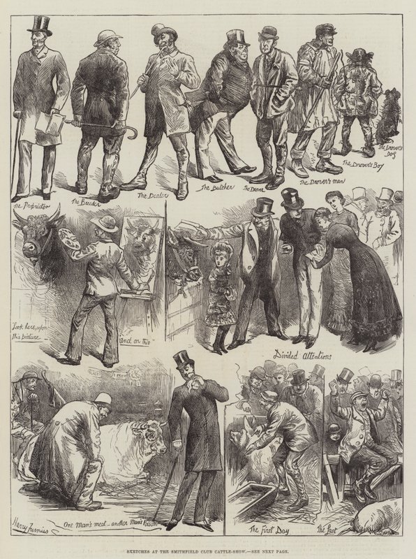 Bocetos en la Exposición de Ganado del Club Smithfield de Harry Furniss